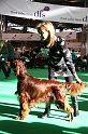 Crufts2011 094